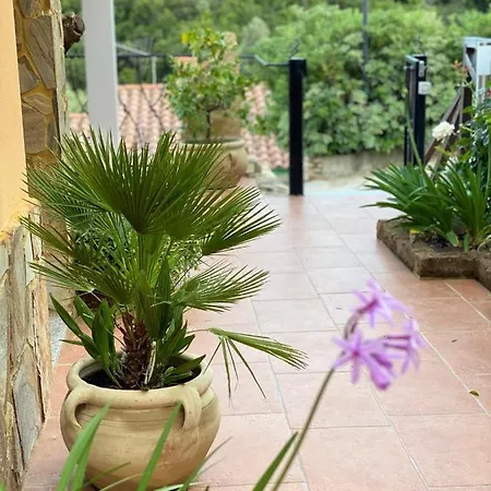 Sa Terrazza Costarei